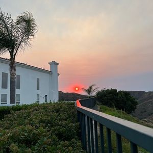 Meet your Posher, Geoffrey